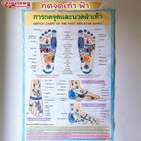 โปสเตอร์ การกดจุดและนวดฝ่าเท้า SKETCH CHART OF THE FOOT REFLEXIVE ZONES ขนาดกว้าง22นิ้วความสูง32นิ้ว