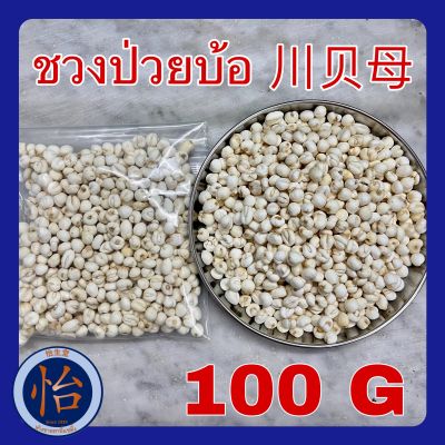 ชวงป่วยบ้อ 100 กรัม (川贝母  100g - CHUAN BEI MU) Fritillary bulbs ชวงป๋วยบ้อ ชวนเป้ยหมู่ สมุนไพรจีน