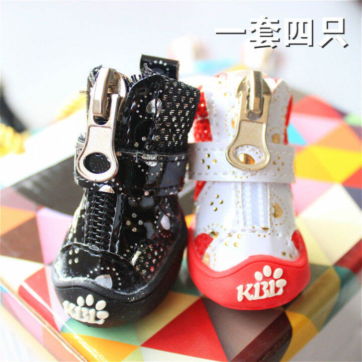 Dog shop shoes lazada