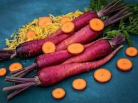 เมล็ดพันธุ์แครอทม่วง เพอร์เพิล ดรากอน (Purple Dragon Carrot Seed) บรรจุ 100 เมล็ด ของแท้ คุณภาพดี ราคาถูก นำเข้าจากต่างประเทศ