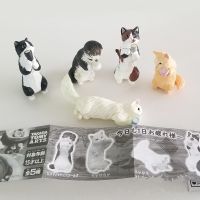 กาชาปอง แมวเหมียว ? Gachapon Cat ของเล่น โมเดล ฟิกเกอร์ เซต 5 ตัว