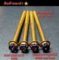 น๊อตสแตนเลส หัวเจาะดอกไม้ 6X80  สีทองไทเท