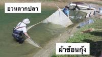 ผ้าลากกุ้ง ตาถี่ 1 เซ็น จับกุ้งฝอย จับปลาซิว ปลาตัวเล็ก