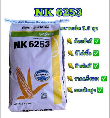 เมล็ดพันธุ์ข้าวโพด เอ็นเค NK 6253 ขนาดเม็ด 3.5 หุน (10 กก.) พันธุ์สุดฮิต!!! ต้นแข็งดี สีได้เนื้อ ทนทานโรค