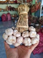 กระเทียมไทยกลีบม่วง เบอร์ใหญ่ 1 กิโลกรัม (1 Kg : Thai garlic)