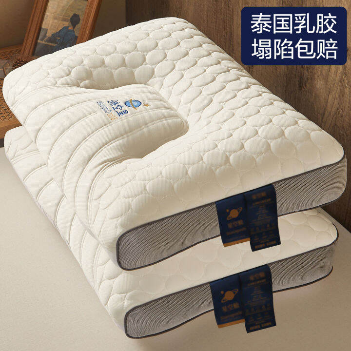 Foam rubber best sale pillow forms