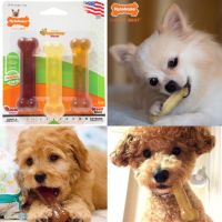 Nylabone Flexible ของเล่นสัตว์เลี้ยง Triple Pack