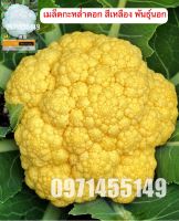 เมล็ด พันธุ์ กะหล่ำดอก Cauliflower 250เมล็ด ดอกใหญ่ พุ่มสวยสีสวย