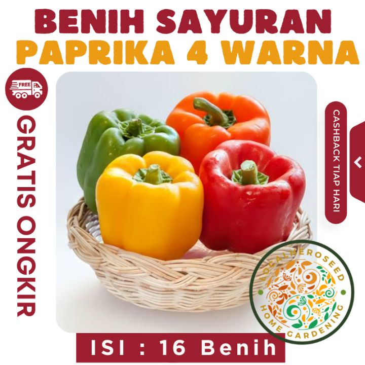 Benih Paket 4 Macam Benih Paprika Isi 16 Biji Sayuran Merah Hijau