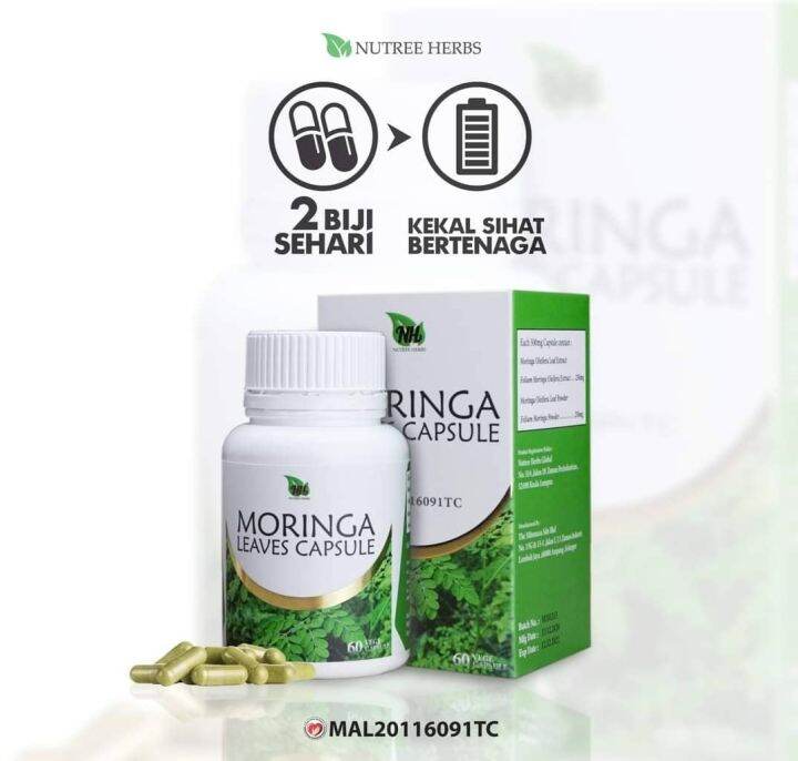 MORINGA OLEIFERA CAPSULE 1 BOTOL 600 CAPSUL | Lazada