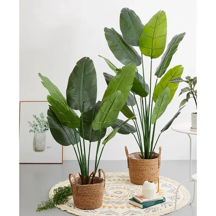 PREMIUM SKYBIRD HOME DECOR / POKOK HIASAN VIRAL / POKOK PISANG ...