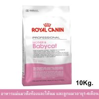 0Royal Canin Mother &amp; Babycat 10kg อาหารสำหรับ ลูกแมว และ แม่แมว baby cat 10 kg