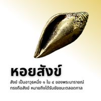 หอยสังข์