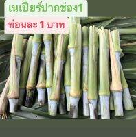 พันธุ์หญ้าเนเปียร์ปากช่อง 1 ท่อนละ 1 บาท โตไว โปรตีนสูง