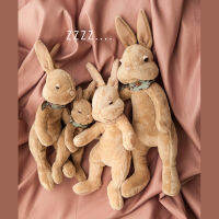 ของเล่นตุ๊กตายัดนุ่นกระต่ายปีเตอร์กระต่ายซาโตชิซาโตะตุ๊กตานอนเป็นเพื่อนที่บ้านนิทานขนไม่หลุดเล็กกะทัดรัดพกพาสะดวก