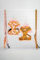 Cunning Cub Reversible Harness &amp; Leash