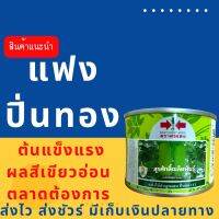 แฟงปิ่นทอง 50 กรัม ศรแดง