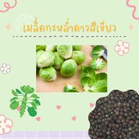 เมล็ดพันธุ์ กะหล่ำดาว 250เมล็ด Brussels sprouts Seed เมล็ดพันธุ์แท้100% นำเข้าจากต่างประเทศ ปลูกผัก สวนครัว ผัดกะหล่ำดาว