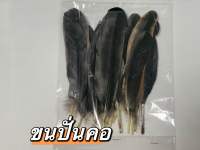 ขนปั่นคอ ขนไก่ ขนปั่นคอไก่ 24 เส้น