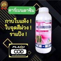 คาร์เบนดาซิม (carbendazim) 50% SC (ขนาด 1 ลิตร) โรคใบไหม้,โรคกาบใบแห้ง โรคใบจุดสีน้ำตาล โรคราแป้ง โรคแอนแทรกโนส โรคเมลาโนส