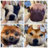 หมอนหนุน หมอนอิง หมอนลายสุนัข Dog Cushion for dog lover