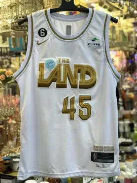 NBA Men's Miami Heat Lebron James #6 Name & Number Tee (Black, X-Large) :  : Clothing & Accessories