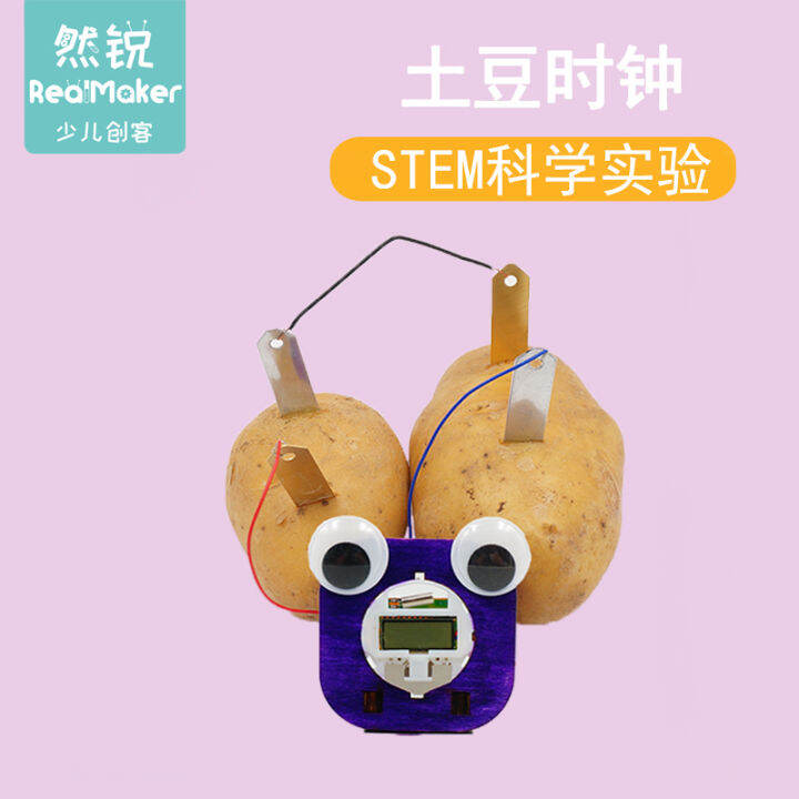 Elementary School Children's Energy Conversion Potato Fruit Power