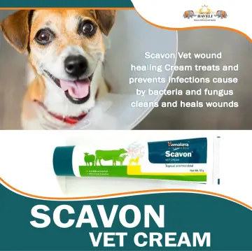 Diaper cream 2024 for dogs