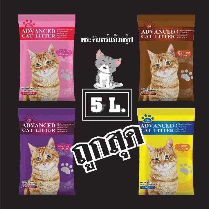 ทรายแมว-5-l-advanced-ทรายแมวคุณภาพสูง-ทรายแมวเกรดพรีเมี่ยม-จะอึก็ดีจะฉี่ก็ฟิน-ขนาด-5-ลิตร-มี4กลิ่น-ไว้สำหรับฉี่แมว-พร้อมส่ง