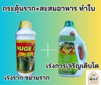 กระตุ้นราก สะสมอาหาร ทำใบ (ฮิ้ว2+เจซี301) ขนาด 1 ลิตร