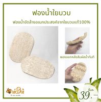 ฟองน้ำใยบวบอเนกประสงค์ ผลิตจากใยบวบธรรมชาติ100% Loofah natural sponge