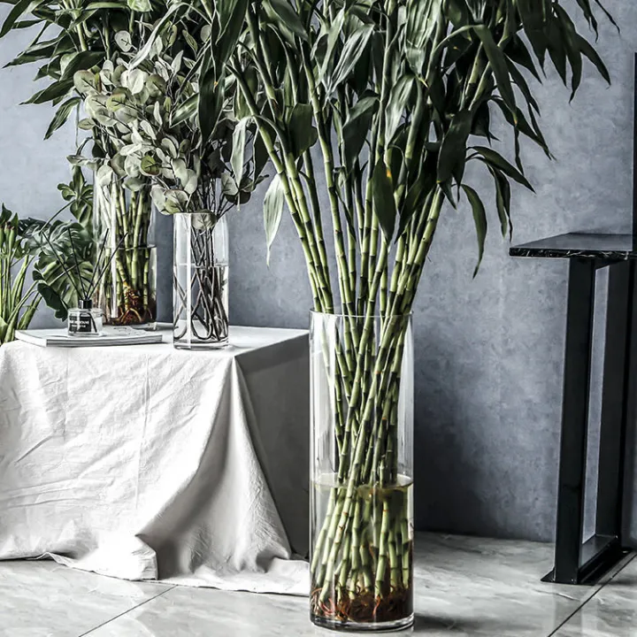 Rich Bamboo Glass Vase Transparent Extra Large Flower Arrangement Large Lucky Bamboo Bamboo Horse Drunk Wood Bell Modern Minimalist