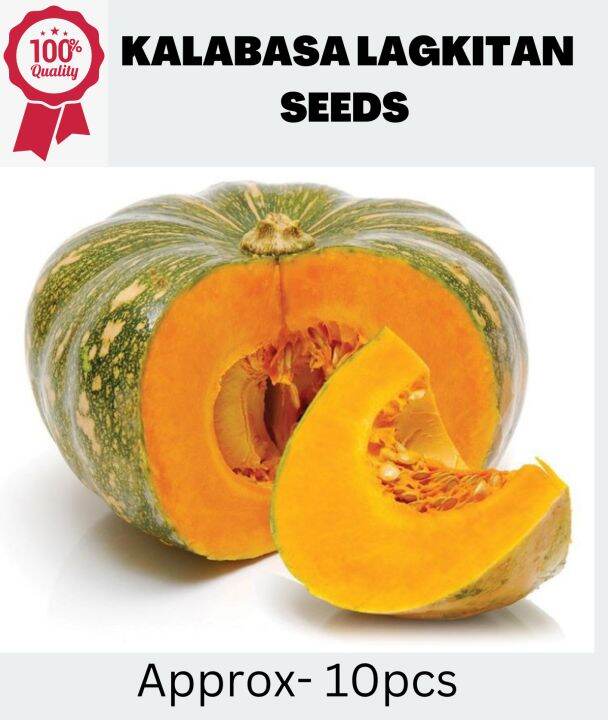 Kalabasa Squash Seeds 5 Seeds 1pack Lazada Ph