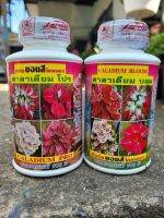 ปุ๋ยบอนสี คาลาเดียมโปร ขนาด 250cc     คาลาเดียม บลูม ใบสวย สีสดใส ใบสมบูรณ์