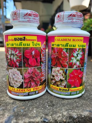 ปุ๋ยบอนสี คาลาเดียมโปร ขนาด 250cc     คาลาเดียม บลูม ใบสวย สีสดใส ใบสมบูรณ์