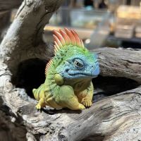 โมเดลเรซิ่น Green Iguana (Mini) น่ารัก