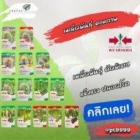 เมล็ดพันธุ์ลูกผสม ตรา ศรแดง ซองกระดาษ ผักกินผล เมล็ดพันธุ์คุณภาพ รับประกันความงอก