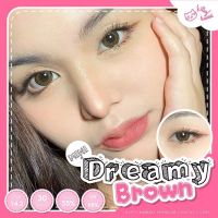 คอนแทคเลนส์ รุ่น mini Dreamy มีสี เทา ตาล มีค่าสายตา