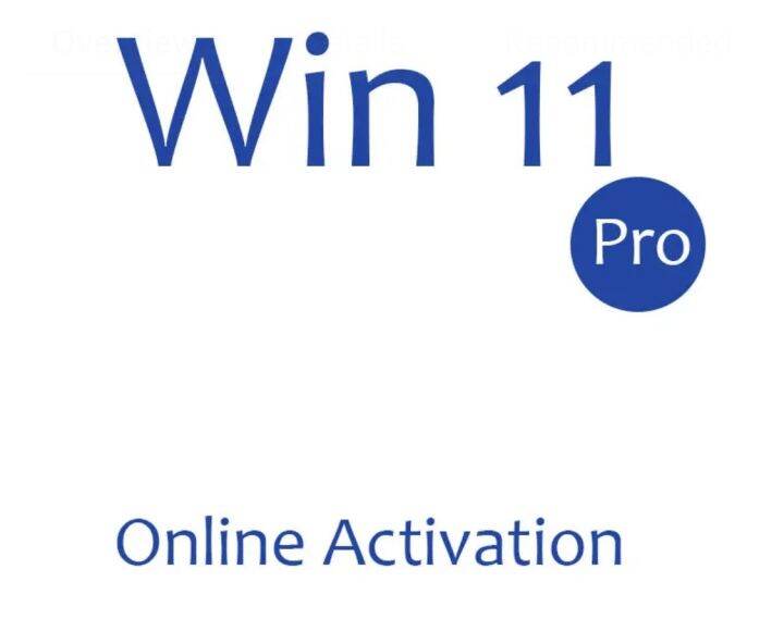 Windows 11 Pro 64 Bit ENG OEM Key Digital Ready to Ship 100 Online
