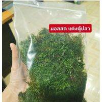 มอสสด​ ซื้อ4แถม1  ใช้แต่งตู้ปลา​?