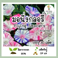 เมล็ดพันธุ์ มอนิ่งกลอรี่ Flying Saucers สีขาวลายด่าง บรรจุ 30 เมล็ด สายพันธุ์OPแท้