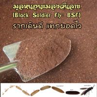 มูลหนอนแมลงวันลาย (Black Soldier Fly: BSF) 1 กก.