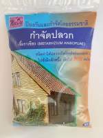 เชื้อราเขียว (METHARHIZIUM ANISOPLIAE) ป้องกันและกำจัดปลวกโดยธรรมชาติ