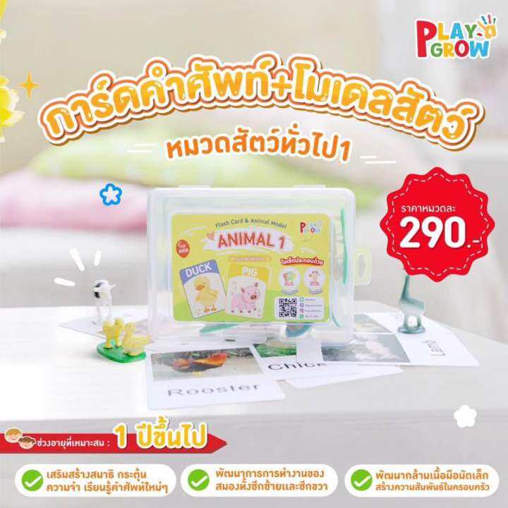 พร้อมส่ง-การ์ดคำศัพท์-โมเดลสัตว์-หมวดสัตว์ทั่วไป-1-ของเล่นเด็ก