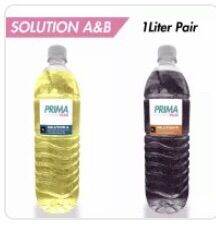 Prima Solution A&B 1 Liter | Lazada PH