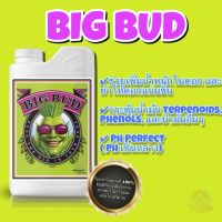 Big Bud !!! (ปุ๋ยเสริมดอก ที่ได้รับความนิยมอย่างมากจาก USA)