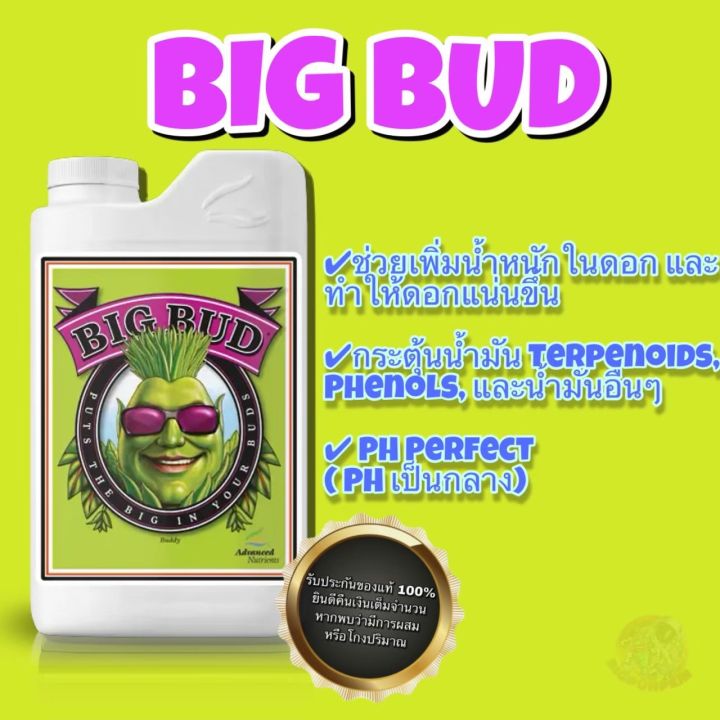 big-bud-ปุ๋ยเสริมดอก-ที่ได้รับความนิยมอย่างมากจาก-usa