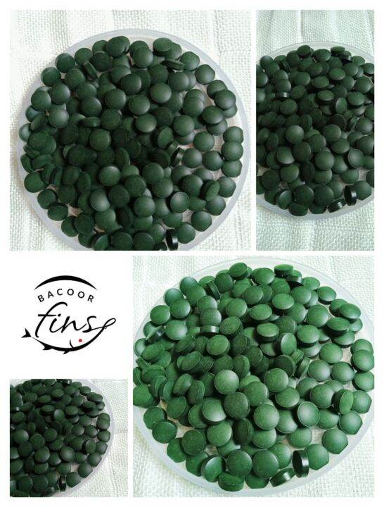 Spirulina Fish Food Lazada PH