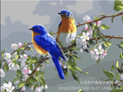 ภาพระบายสีตามตัวเลข ไม่มีเฟรม- Paint by numbers : birds