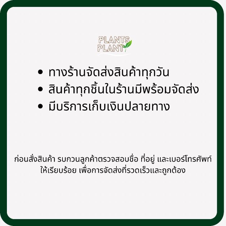 อะบาแมกติน-1-ลิตร-กำจัดและป้องกันศัตรูพืช-กำจัดแมลง-กำจัดหนอน-กำจัดเพลี้ย-ไรแดง